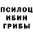 Псилоцибиновые грибы Cubensis hend yehia