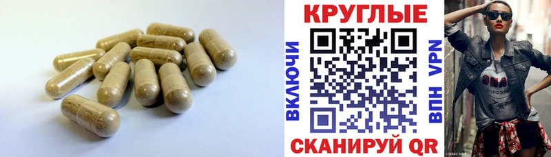 даркнет сайт  Волгоград  Ecstasy 99% 