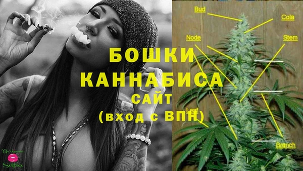 spice Братск