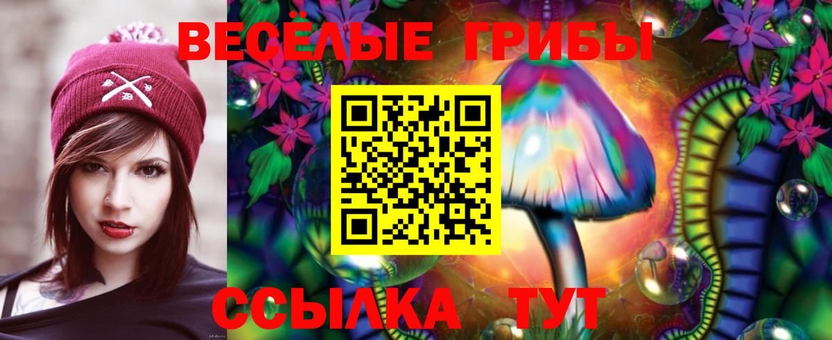 Волгоград  Галлюциногенные грибы Cubensis  Вход с VPN 