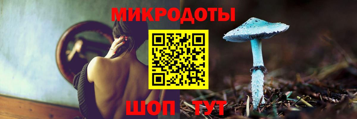 Псилоцибиновые грибы Cubensis  Волгоград  Псилоцибиновые грибы MAGIC MUSHROOMS 